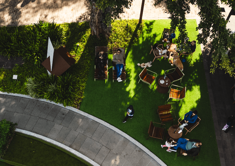 Agenda Cultural de Novembro