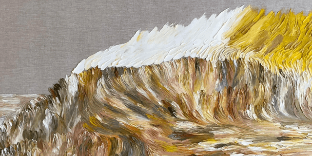 12,4% de Daniela Busarello: Exposição une arte, natureza e ancestralidade