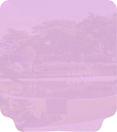 Conheça o serviço - Lazer e cultura